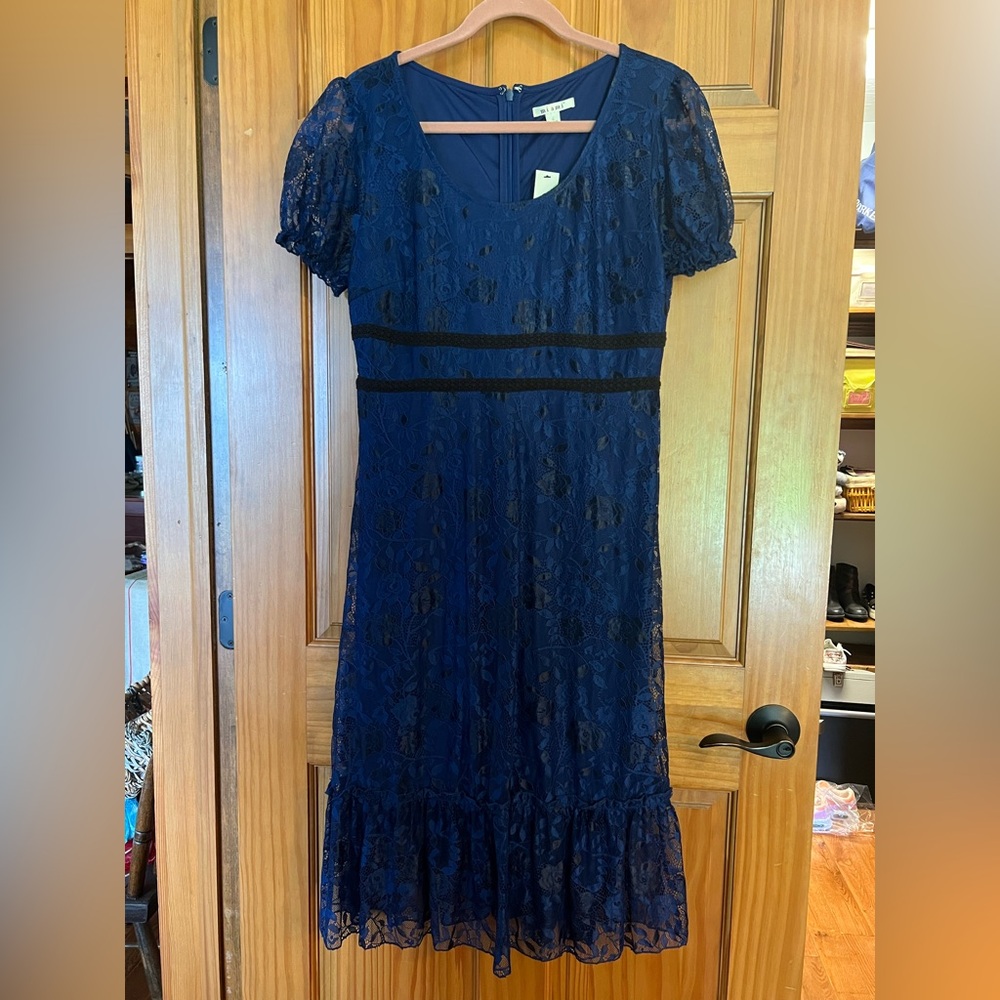 Elegant Blue Lace Dress